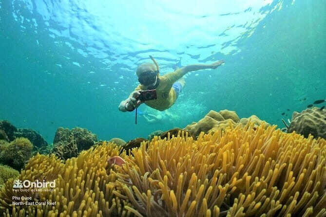 Phu Quoc Food Tour - Led by Women - Final Thoughts