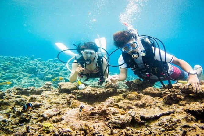 Phu Quoc free and easy package 3 days - FAQs