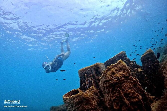 Phu Quoc Paradise Night Tour with Cruise - Who Should Consider This Tour?