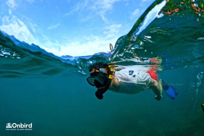 [Phu Quoc] Private Speedboat & Short-Snorkel: South Hidden Reefs - The Itinerary: What to Expect