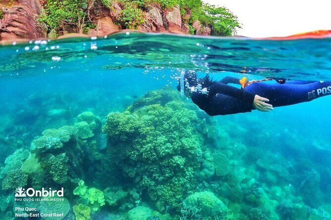 [Phu Quoc] Private Speedboat & Short-Snorkel: South Hidden Reefs - Authentic Insights from Reviewers