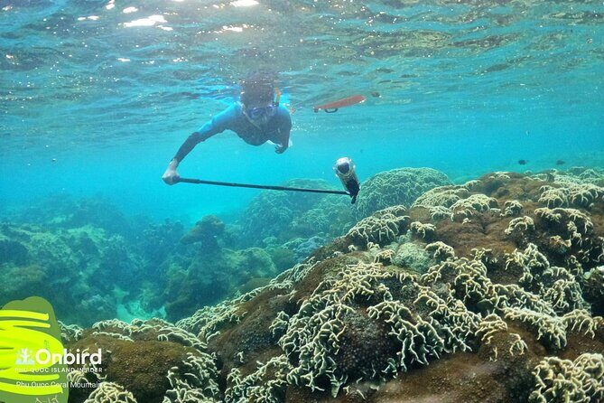 [Phu Quoc] Private Speedboat & Short-Snorkel: South Hidden Reefs - Who Would Love This Tour?