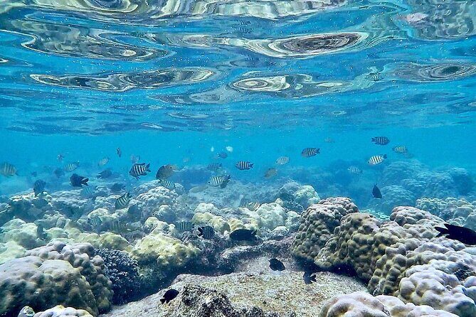 Phu Quoc Snorkeling and fishing to the North full day tour - Key Points