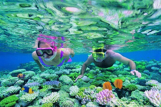 Phuket - 3 Phi Phi Islands 7 Sports Snorkeling Full-Day Trip by Speed Boat - A Detailed Look at the Tour
