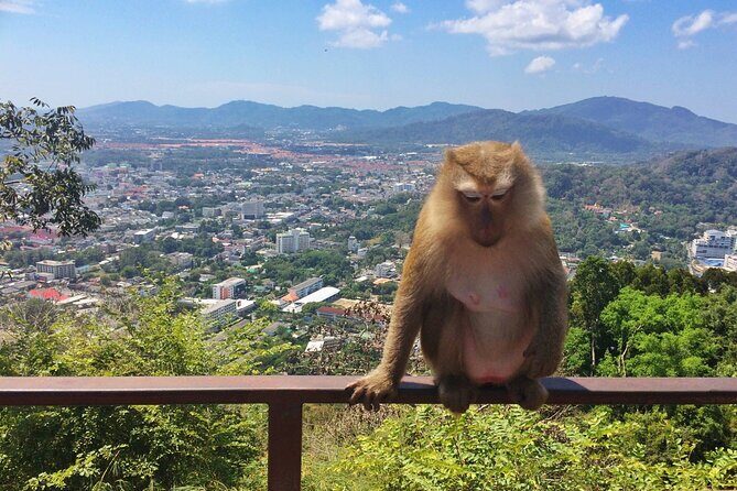 Phuket Amazing Sunset :Phromthep Cape,Chillva Market,Monkey Hills - What Makes This Tour Valuable?