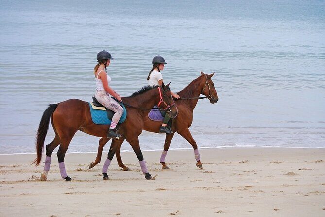 Phuket Beach and Horse Rides 1 Hour Experience - A Detailed Look at the Phuket Beach and Horse Rides Tour