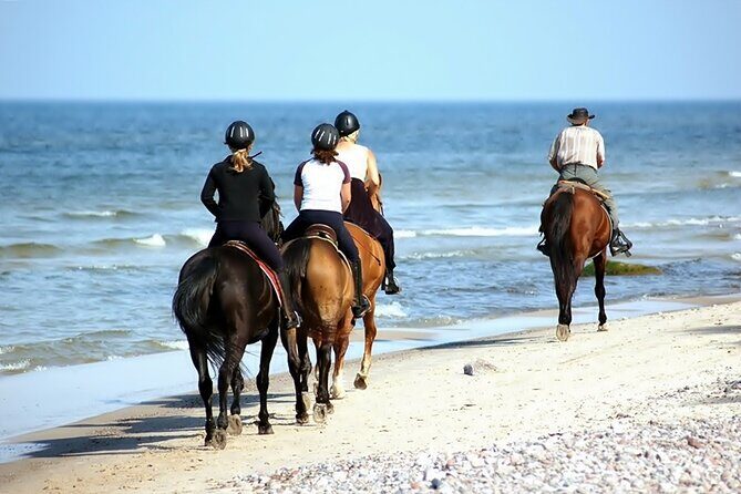 Phuket Beach and Horse Rides 1 Hour Experience - Post-Ride Fun