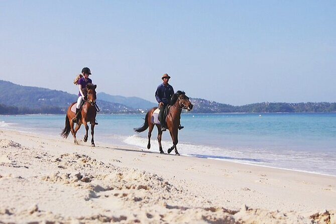 Phuket Beach and Horse Rides 1 Hour Experience - What’s Included and What’s Not