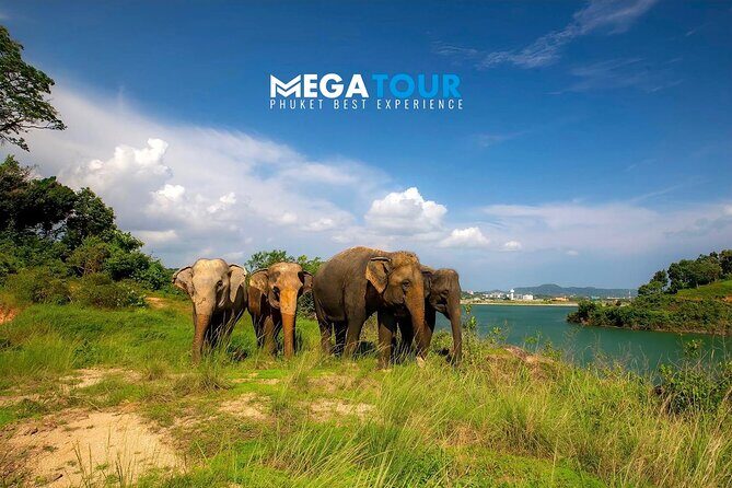 Phuket City Tour & Elephant Sanctuary: Sights, Tastes, Culture - Exploring Phuket’s Old Town: Architectural Charm and Cultural Flavors