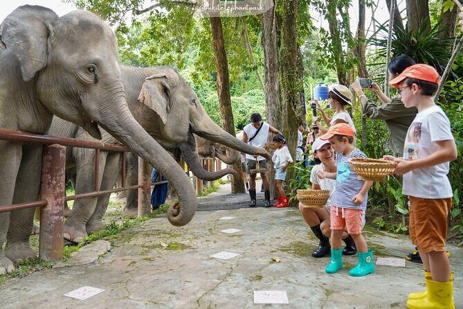 Phuket City Tour & Elephant Sanctuary: Sights, Tastes, Culture - Phuket’s Iconic Snack: A-Pong (Phuket Pancake)