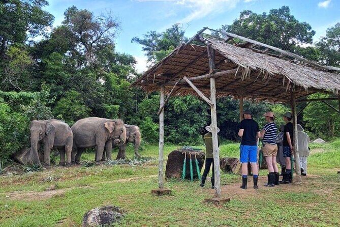 Phuket City Tour & Elephant Sanctuary: Sights, Tastes, Culture - The Enchanting Big Buddha Phuket