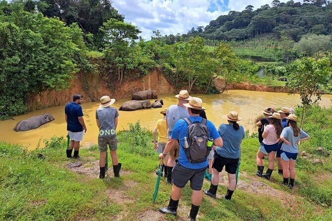 Phuket City Tour & Elephant Sanctuary: Sights, Tastes, Culture - The Sum Up