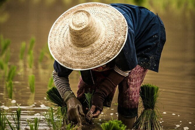 Phuket Countryside and Heritage Tour - A Closer Look at the Phuket Countryside and Heritage Tour
