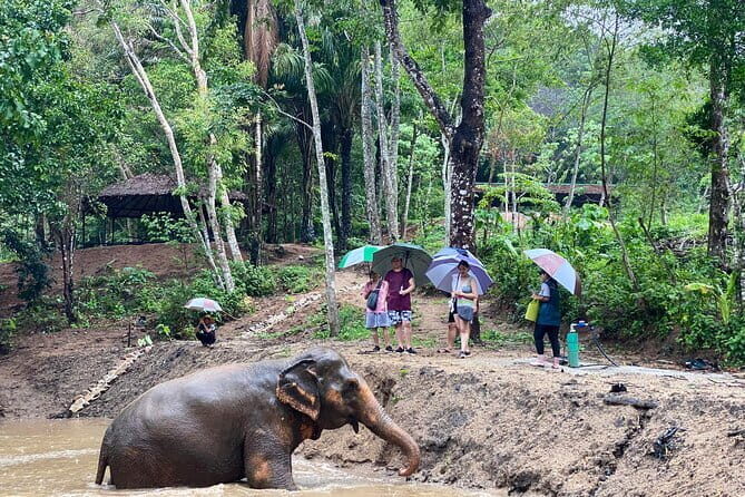 Phuket Elephant Nature Reserve Ethical Sanctuary - Summary
