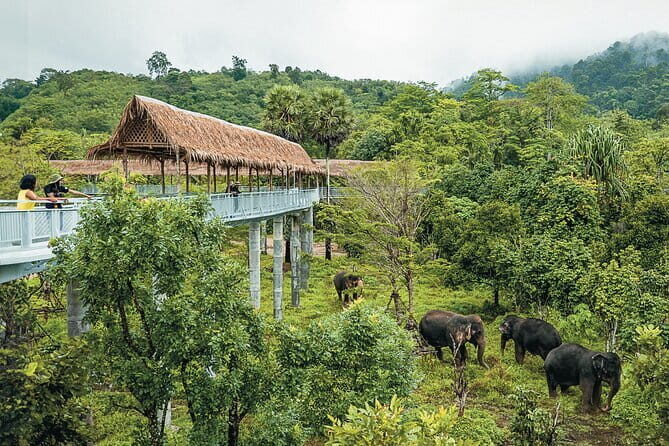 Phuket Golden Sunset Horseback Ride with Palai Beach Views - The Sum Up