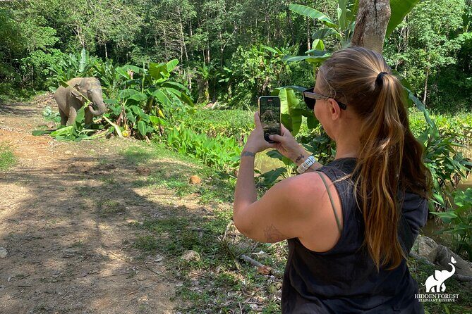 Phuket: Hidden Forest Elephant Reserve Guided Tour with Lunch - A Deep Dive into the Experience
