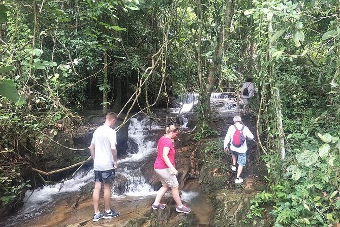 Phuket Jungle Trekking Experience at Khao Phra Taew National Park - The Sum Up
