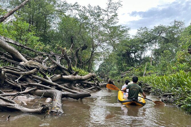 Phuket Jungle Wildlife Canoeing Small Group Tour with Pick up - Practical Aspects: Transport, Timing, and Group Size