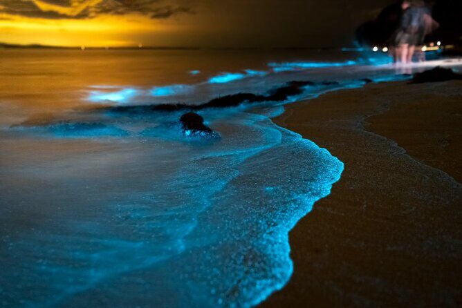 Phuket: Phang Nga Bay Bioluminescent Plankton and Sea Canoes tour - An In-Depth Look at the Tour Experience