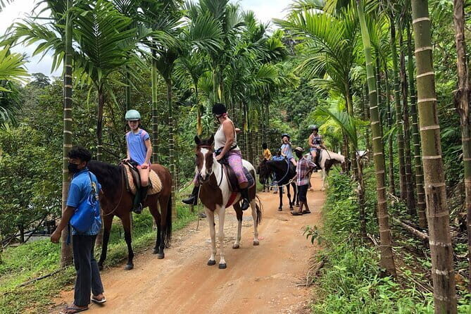 Phuket Scenic Horseback Riding Adventure - Key Points