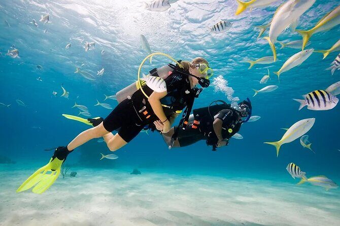 Phuket Scuba Diving and Snorkeling Offshore 2 Islands Full-Day by Speed Boat - Authentic Insights from Past Travelers