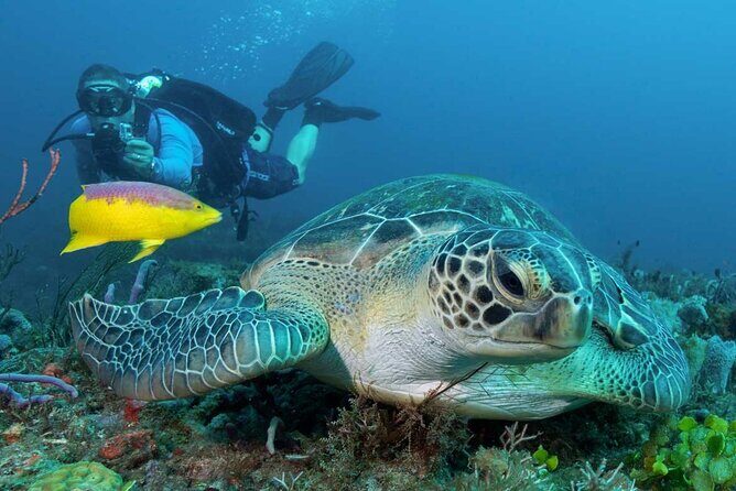 Phuket Scuba Diving and Snorkeling Offshore 2 Islands Full-Day by Speed Boat - Final Thoughts