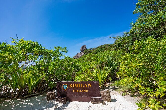 Phuket to Similan Islands Snorkeling Tour - Who Will Love This Tour?