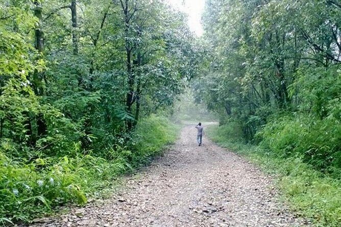 Phulchoki bird-watching tour - The Itinerary Deep Dive