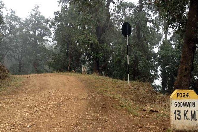Phulchowki day hiking - Authentic Insights from Past Travelers