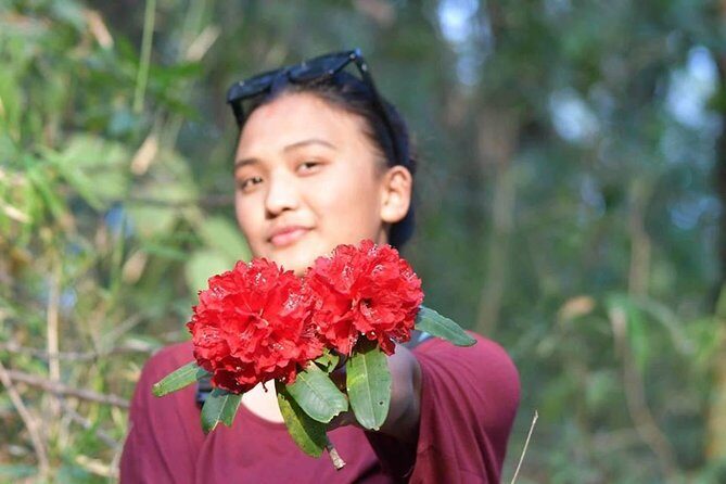 Phulchowki day hiking - FAQ