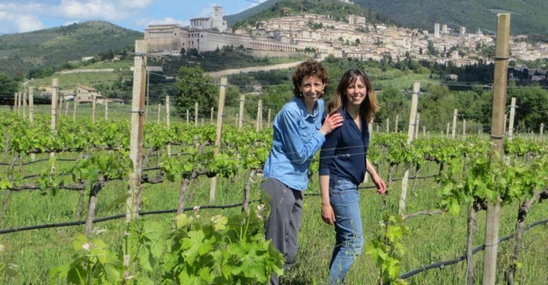 Pic nic Deluxe Assisi and wine tasting 5 wines - Unveiling the Charm of the Assisi Wine & Picnic Tour