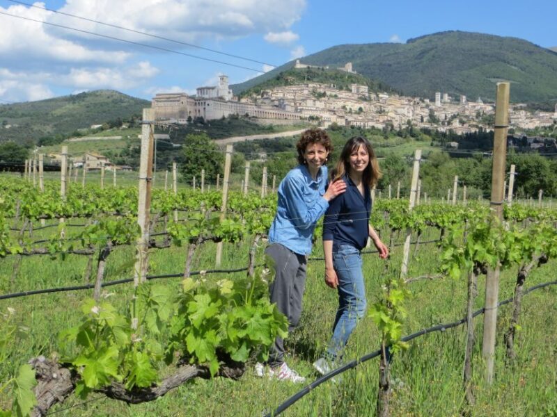 Pic nic Deluxe Assisi and wine tasting 5 wines - Key Points