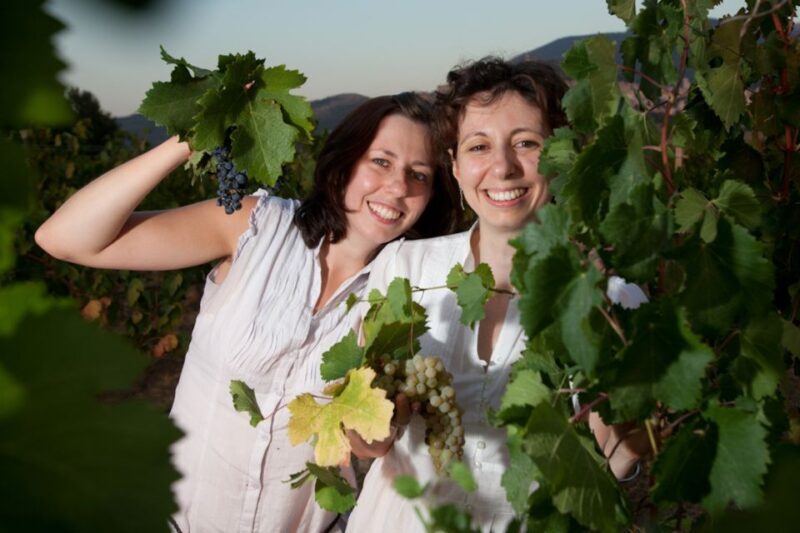 Pic nic Deluxe Assisi and wine tasting 5 wines - Who Will Love This Tour?