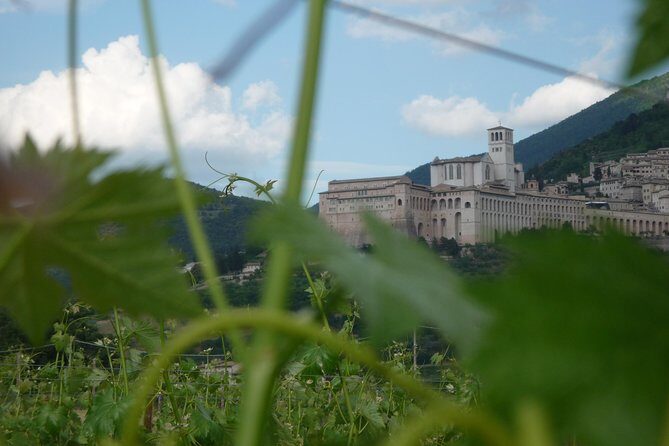 Pic nic Deluxe Assisi for 2 and wine tasting 5 wines - Who Will Enjoy This Tour?