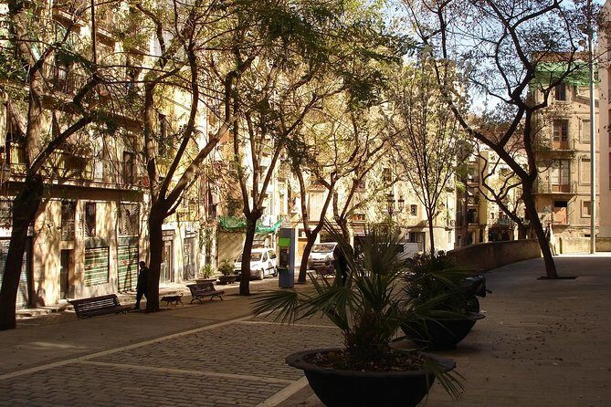 Picasso Museum & Private Walking Tour of Born or Gothic Quarter - A Deep Dive into the Experience
