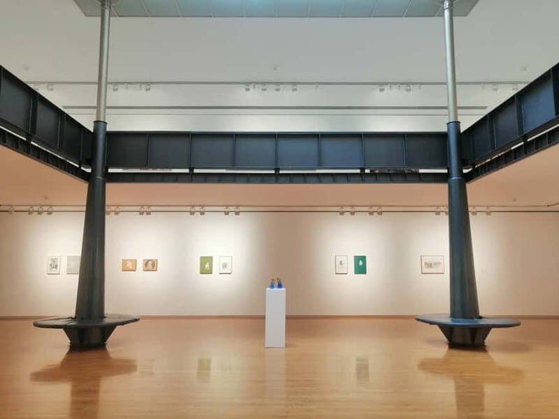 Picasso Museum, Walking Tour & Optional Wine Tasting Upgrade - A Deep Dive into the Experience