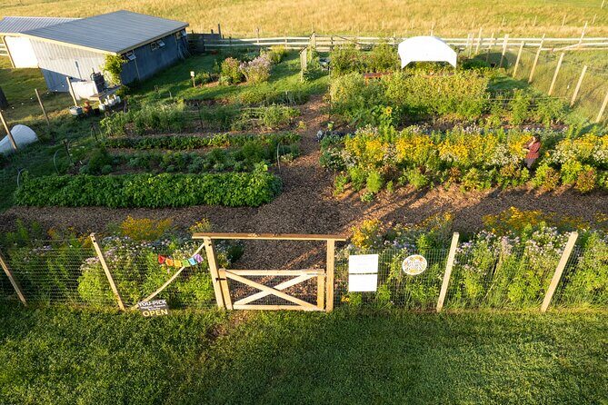 Pick Your Own Flowers on the Farm - A Closer Look at the Experience