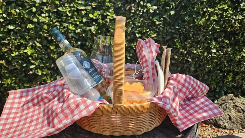 Picnic among the rows of Vernaccia di San Gimignano - Final Thoughts: Is This the Right Experience for You?