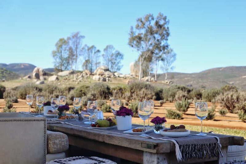 Picnic and drinks in Lavender Fields at Aires de Lavanda - Practical details and value