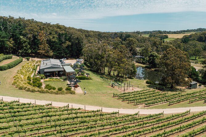 Picnic and Farm Experience at Red Hill - An In-Depth Look at the Red Hill Farm Picnic Experience