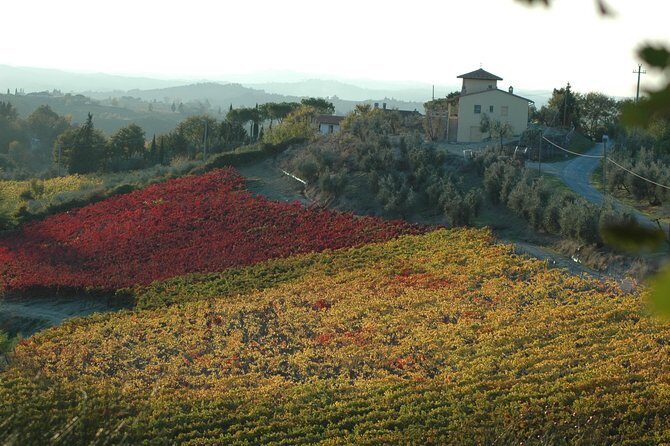 Picnic in the countryside in the heart of Chianti - Authenticity and Value