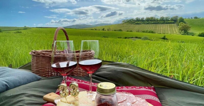 Picnic in the organic vineyards of Brunello - Key Points