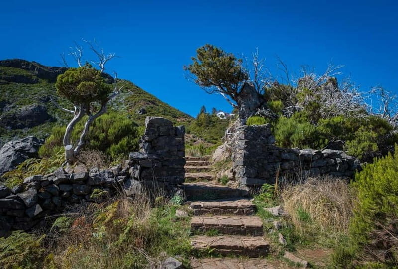 Pico Areeiro to Pico Ruivo Madeira Island Walk - The Sum Up: Who Should Book This Tour?