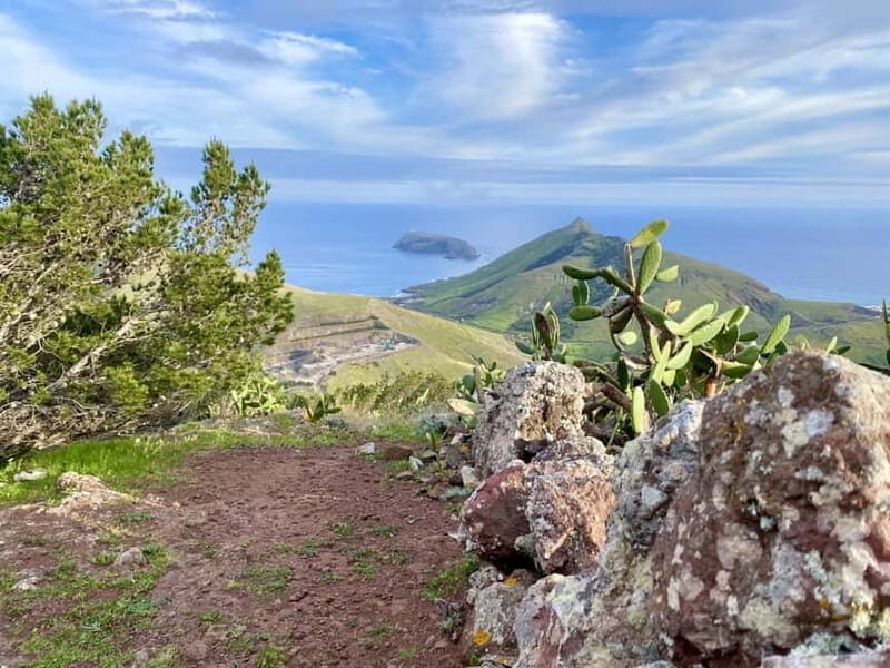 Pico Castelo & Pico Facho Vereda: Walk with Spectacular View - The Detail-Rich Journey Through Madeira’s Interior