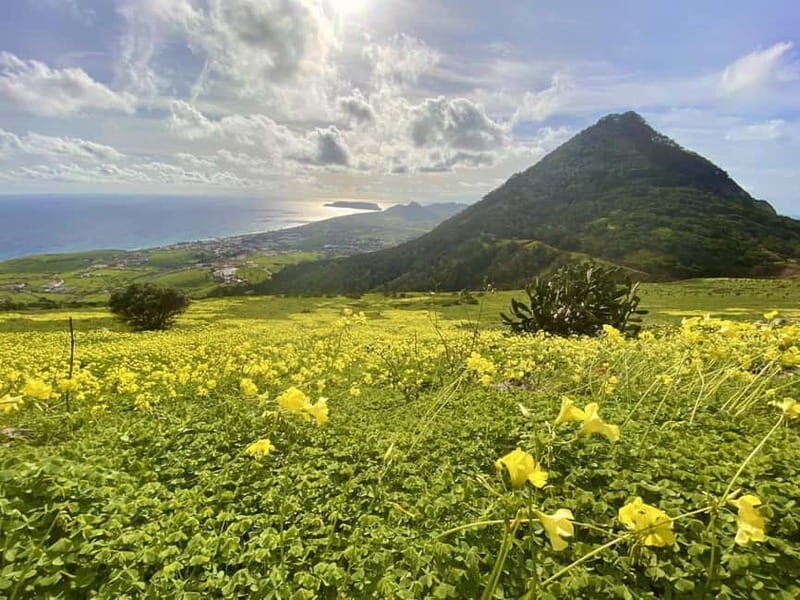 Pico Castelo & Pico Facho Vereda: Walk with Spectacular View - Value and Final Thoughts