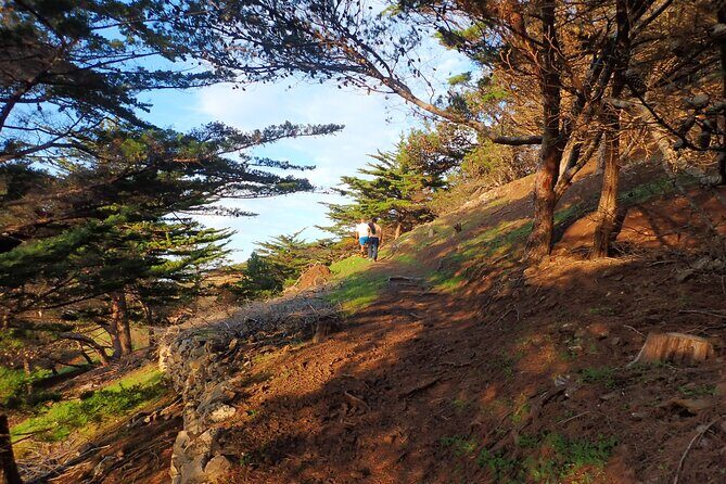 Pico do Facho Panoramic Trail - An In-Depth Look at the Pico do Facho Panoramic Trail Experience