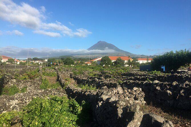 Pico Girl Power Wine Tasting and Cultural Experience - FAQ