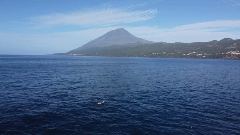 Pico island: guided kayak and snorkel tour - Who Should Consider This Tour?
