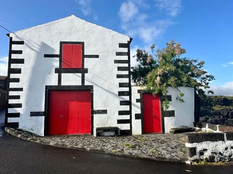 Pico island: highlights, wine tasting and local gastronomy - The Sum Up