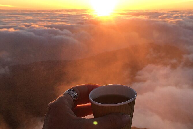 Pico Mountain: Climb the Highest Point of Portugal 2351m - What to Expect: The Experience Unpacked